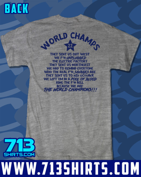 You Wanted Houston! - Image 7