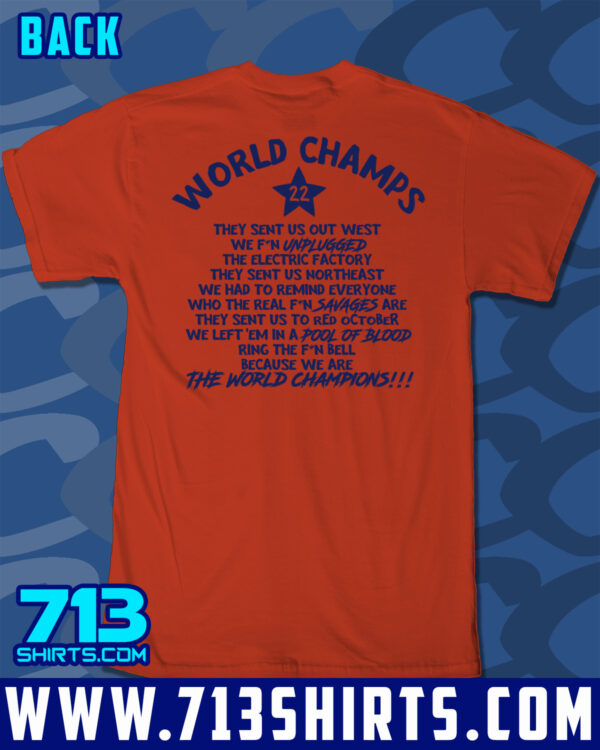 You Wanted Houston! - Image 2