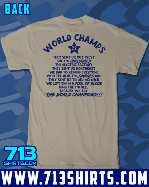 You Wanted Houston! - Image 11