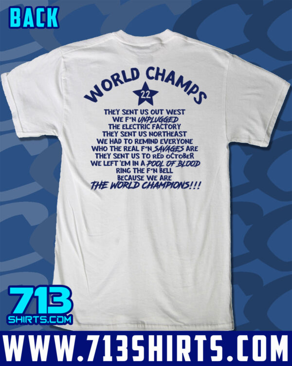 You Wanted Houston! - Image 5