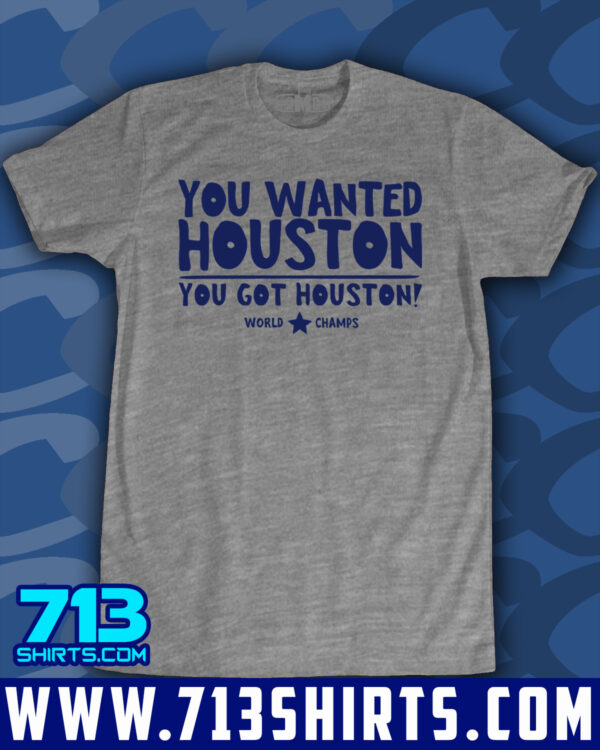 You Wanted Houston! - Image 6