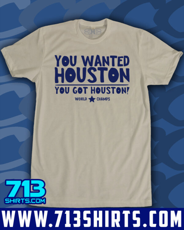 You Wanted Houston! - Image 10