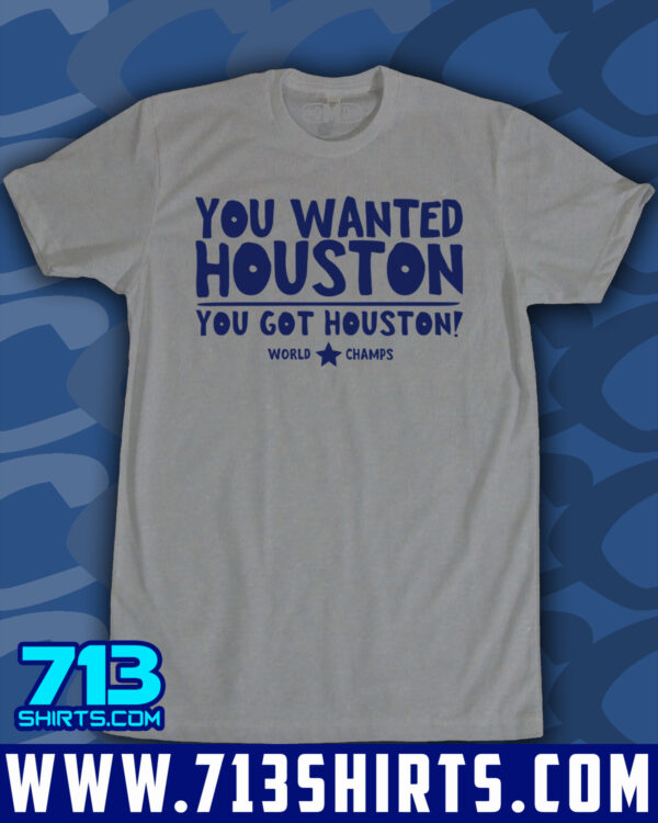 You Wanted Houston! - Image 8