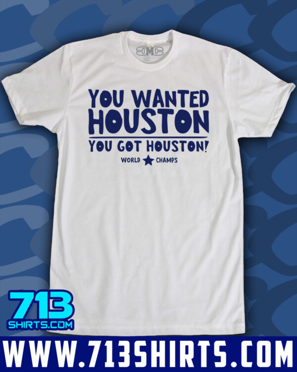 You Wanted Houston! - Image 4